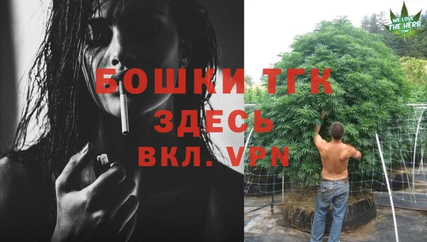 дмт Кукмор