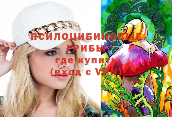 дмт Кукмор