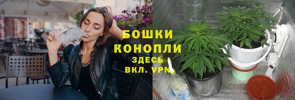 стафф Куйбышев